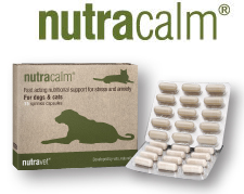 nutracalm calming tablets